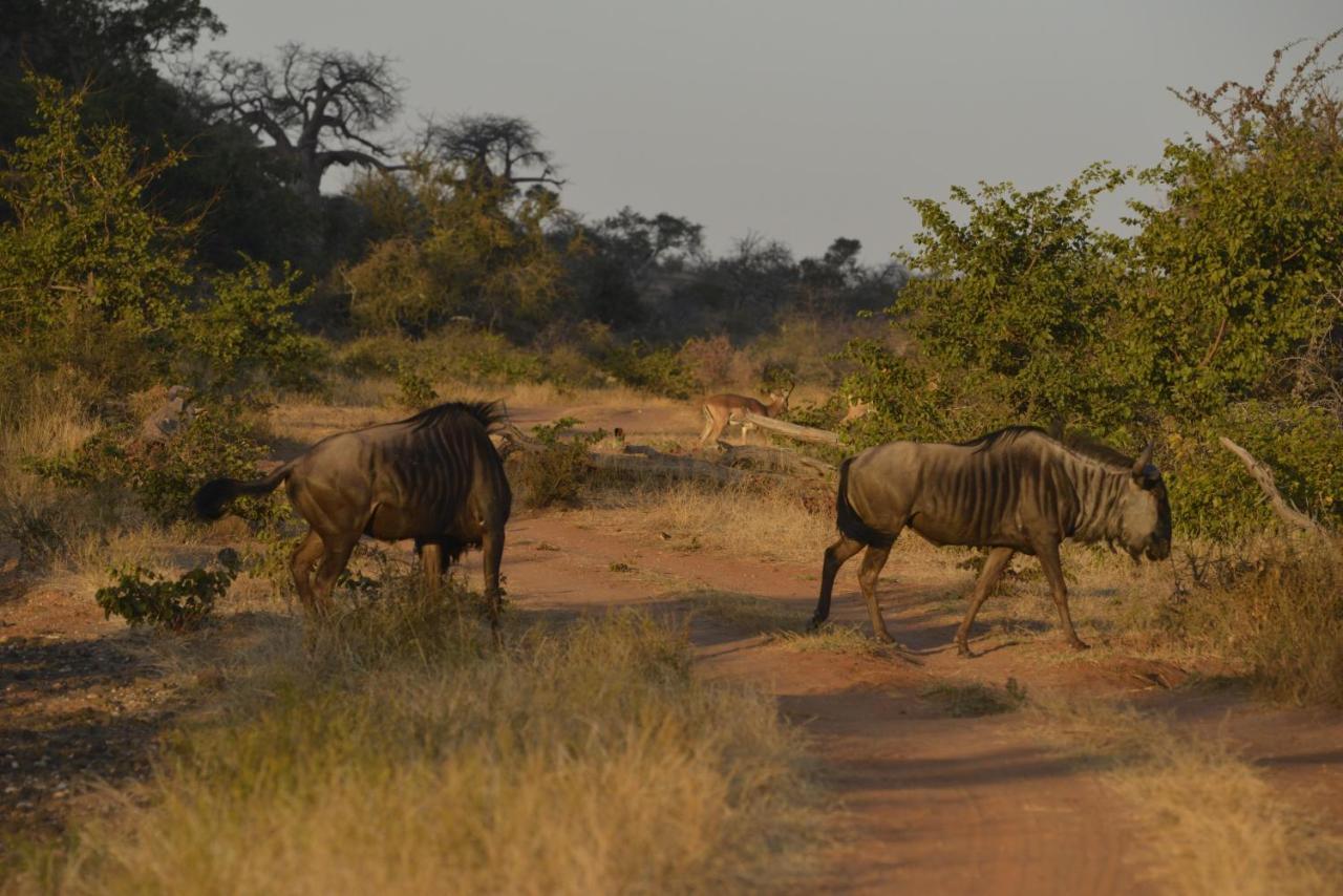 Iphofolo Lodge & Tented Camp Vivo Екстер'єр фото