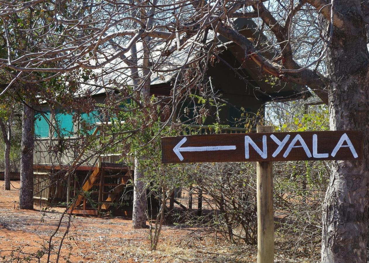 Iphofolo Lodge & Tented Camp Vivo Екстер'єр фото