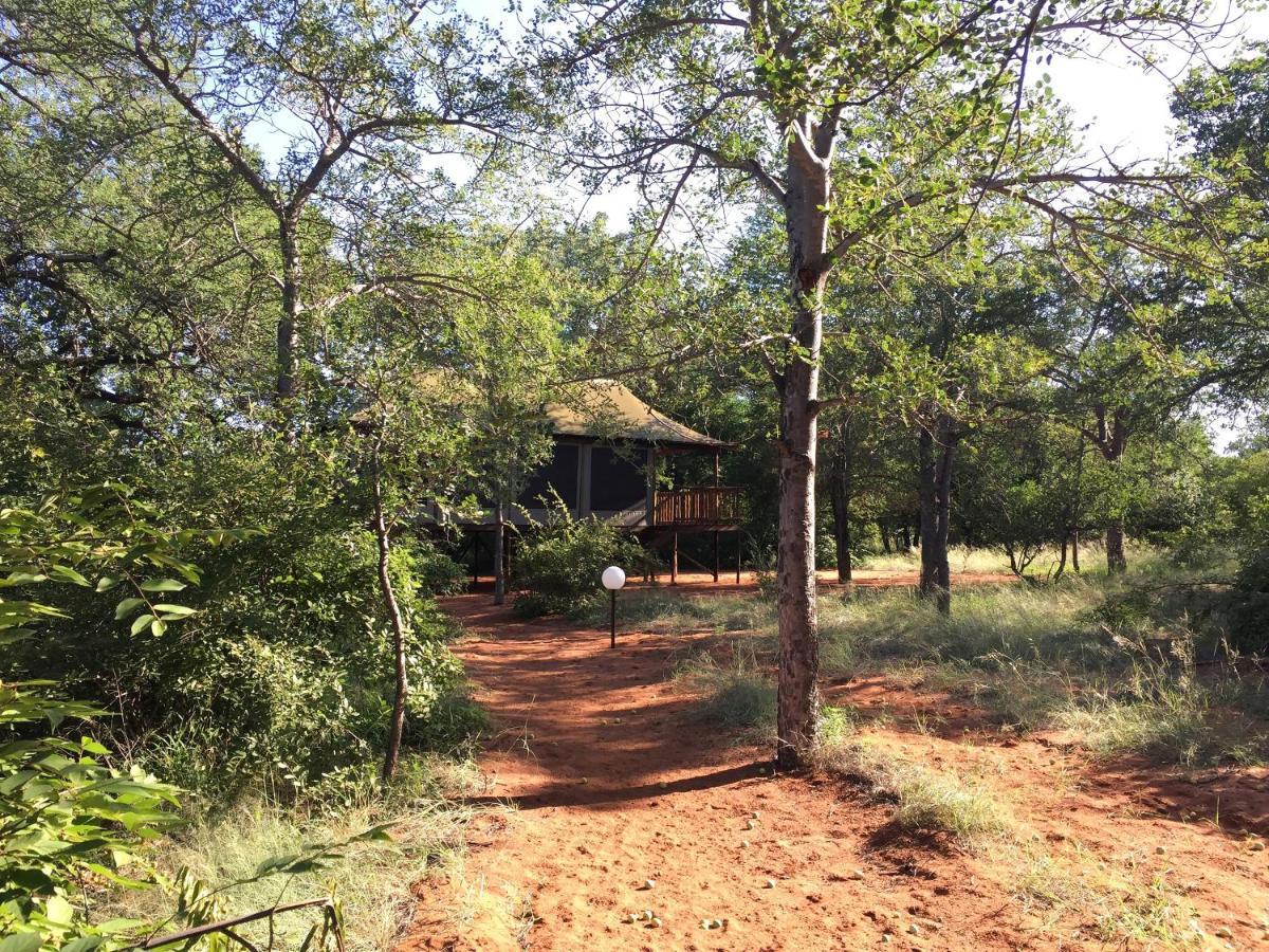 Iphofolo Lodge & Tented Camp Vivo Екстер'єр фото