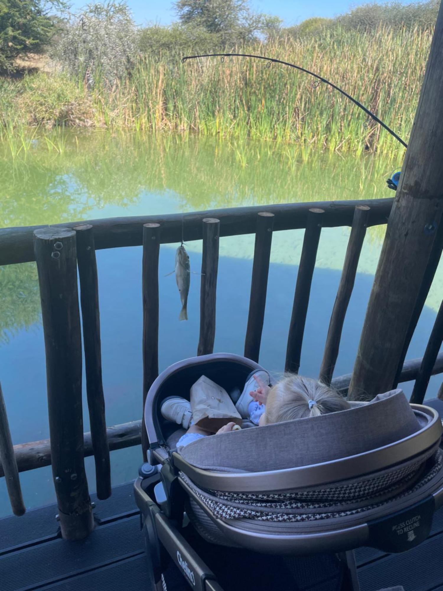 Iphofolo Lodge & Tented Camp Vivo Екстер'єр фото