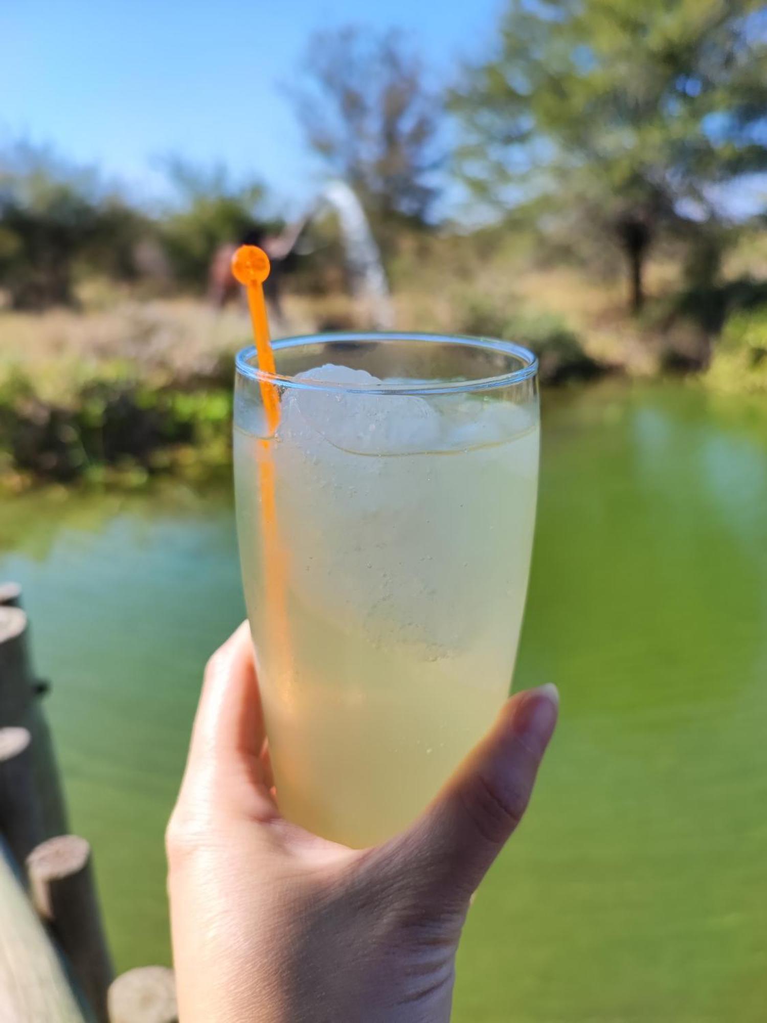 Iphofolo Lodge & Tented Camp Vivo Екстер'єр фото